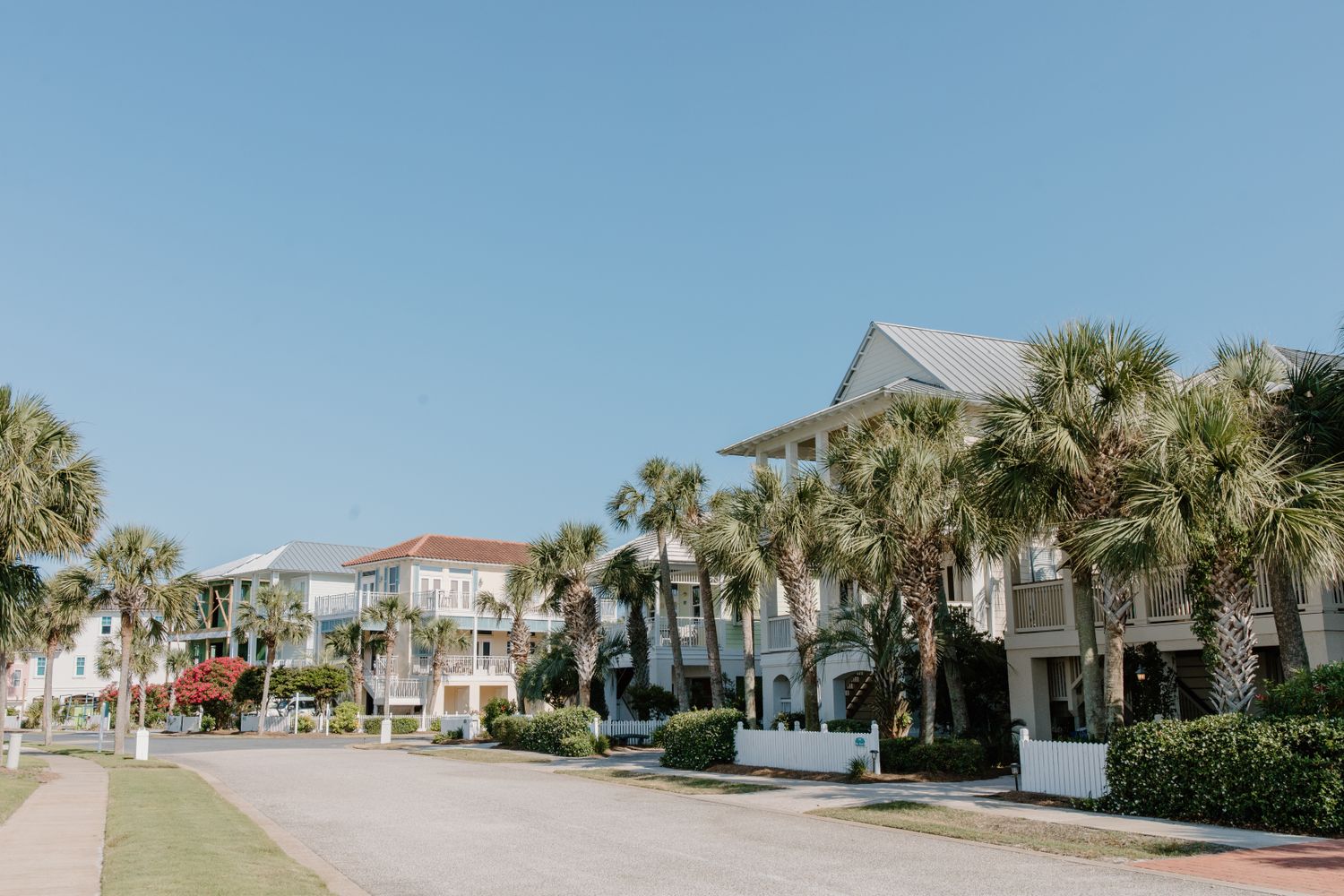 A palm-lined residential street of newer Florida homes
